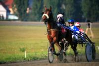 Horse Racing / Praha Chuchle 4